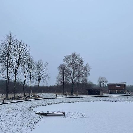 Villa Arciau Gamtos Anyksciai Kurkliai Exterior foto