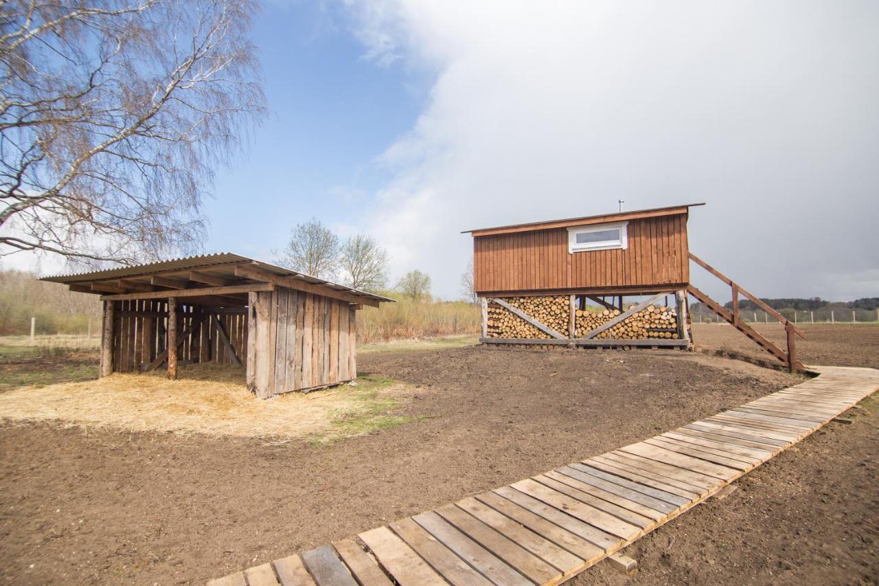 Villa Arciau Gamtos Anyksciai Kurkliai Exterior foto
